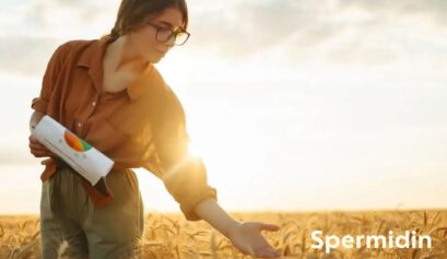 Spermidin bakımından zengin besinler — buğday filizi, soya, natto, peynir ve mantar — uzun yaşam ve hücresel yenilenme ile ilişkilendirilen doğal kaynaklardır.