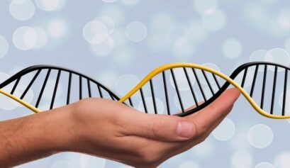 Nutrigenetik Epigenetik Risk Paneli görseli, epigenetik ve nutrigenetik değerlendirme.