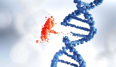 Genetik yolaklar ve epigenetik düzenleme süreçlerini gösteren, SNP analizi ile MTHFR, COMT ve diğer genlerin sağlık üzerindeki etkilerini açıklayan diyagram
