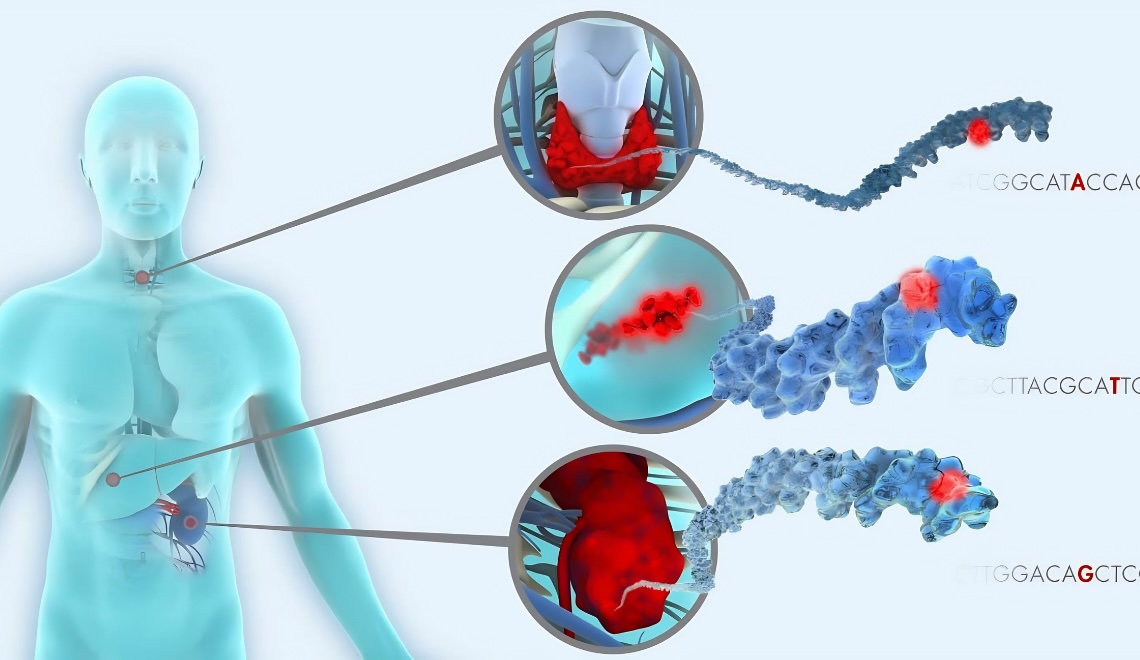 Epigenetik danışmanlık - genetik test sonuçlarını kişiselleştirilmiş sağlık yol haritasına dönüştürme