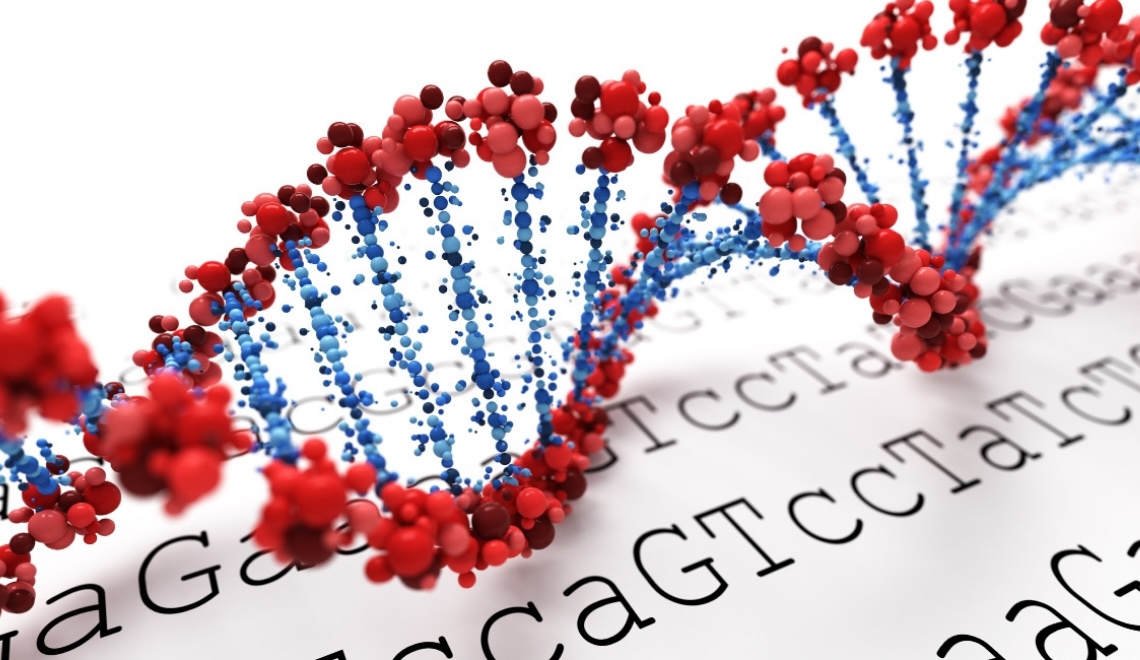 Uzun Yaşam Genleri: SIRT ve FOXO Nedir, Nasıl Çalışır?