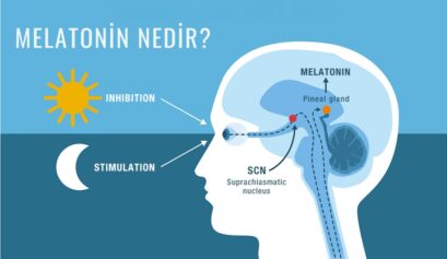 Melatonin hormonu ve sirkadiyen ritmin uyku, insülin ve longevity üzerindeki etkisini gösteren görsel