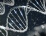 Yaşlanma biyolojisini temsil eden, koyu zemin üzerinde parlayan DNA çift sarmalı