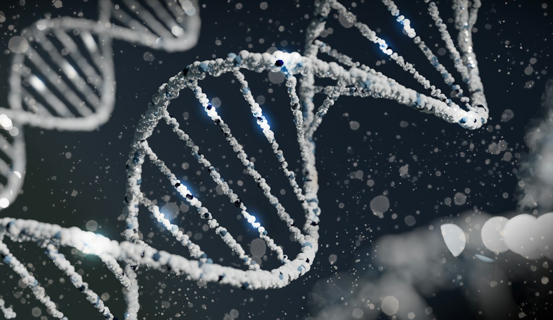 Yaşlanma biyolojisini temsil eden, koyu zemin üzerinde parlayan DNA çift sarmalı